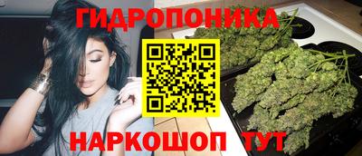 шишки Апрелевка