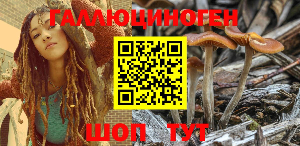Псилоцибиновые грибы Psilocybe  Галлюциногенные грибы Psilocybine cubensis  Вход с VPN  Волжск 
